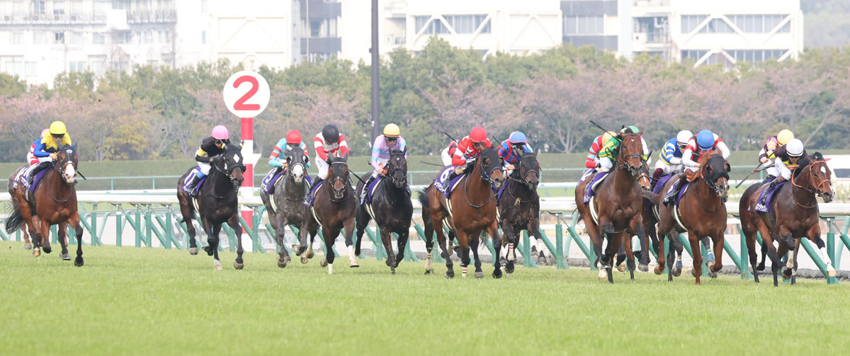 高松宮記念結果＆コメント】サトノレーヴ連覇 ルメール「トップレベル